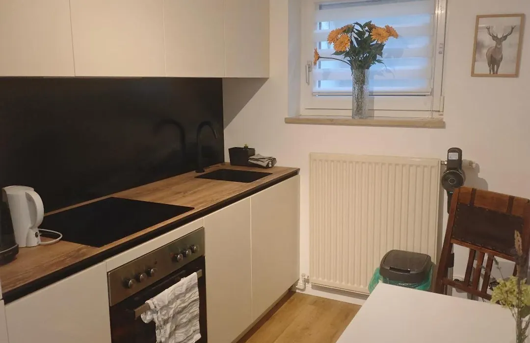Ruhige FeWo Soutterainwohnung im Grünen-1