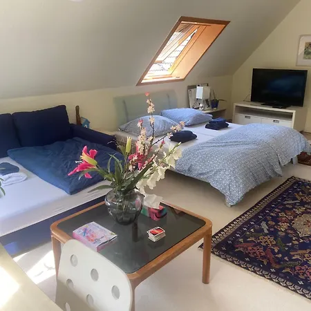 Gartenblick-Oase: Obergeschosswohnung in Hamburg-3