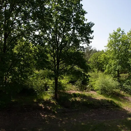 Heideparadies-3