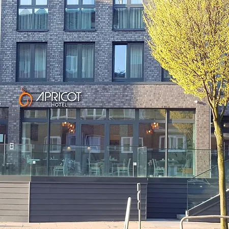 Apricot Hotel-3