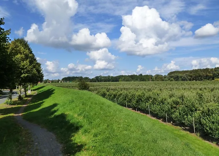 Fewo im Alten Land
